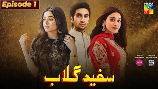 Sufaid Gulab Episode 1 | Hamza sohail | Sehar Khan | Anmol Balooch | Fairy tale Cast pakistani drama