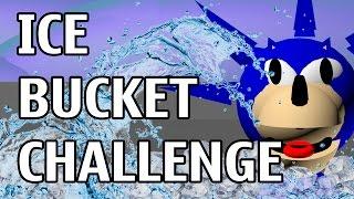 Ice Bucket Challenge | Really3D