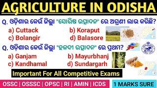 Agriculture In Odisha Top Mcqs | ଓଡ଼ିଶାର କୃଷି ସମ୍ବନ୍ଧୀୟ ପ୍ରଶ୍ନ | Odisha Gk For OSSC, OSSSC All  Exam