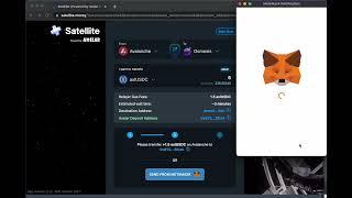 Satellite Tutorial Video - How to transfer tokens cross-chain