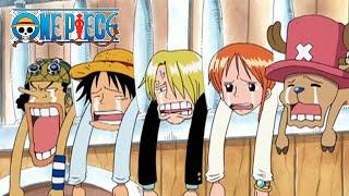 The Straw Hats Miss Vivi | One Piece