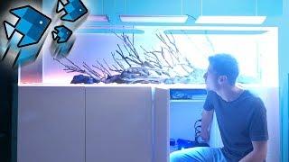 Die heftigste Aquarium LED!