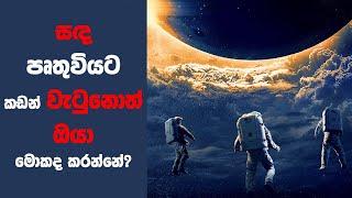 "මූන්ෆෝල්" Movie Review Sinhala | Ending Explained Sinhala | Sinhala Movie Review | Sinhala Recap