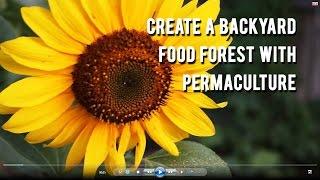 Free Introduction Into Permaculture