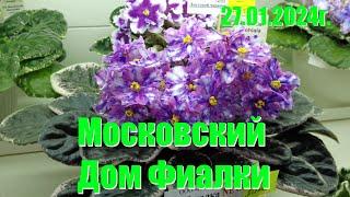 Московский "Дом Фиалки"    27 января 2024г.