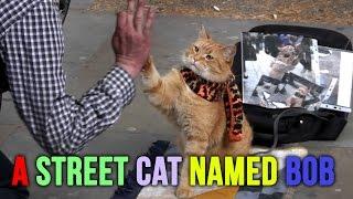 Me & My Pet Ft.  A Street Cat Named Bob & James Bowen... Exclusive Early, Rare Interview