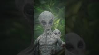 Alien in the Forest