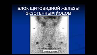 Сухов В.Ю. "Заболевания эндокринных органов шеи - протоколы и мультимодальные решения»