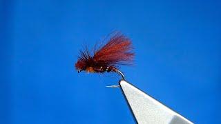 Tying a CDC Chocolate Drop Caddis Missing Link Style) by Davie McPhail