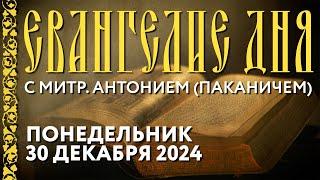 Толкование Евангелия с митр. Антонием (Паканичем). Понедельник, 30 декабря 2024 года.