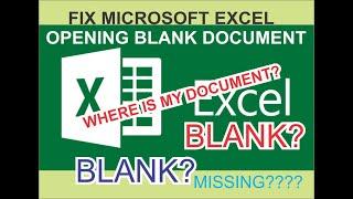 MICROSOFT EXCEL FILE  opening a blank document?(fixed)