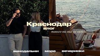 Краснодар & Геленджик premium-влог: вечеринки, море, винодельни