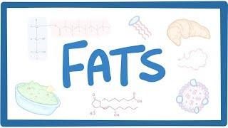 Fats - biochemistry