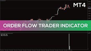 Order Flow Trader Indicator for MT4 - BEST REVIEW