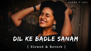 Dil Ke Badle Sanam | [Slowed+Reverb] | #uditnarayan #alkayagnik #slowedandreverb #lofisong