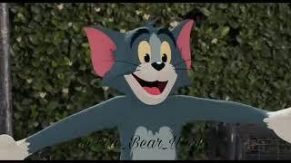 Tom and Jerry emotional video.Shorts.Jannat