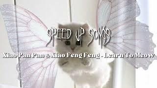 Xiao Pan Pan & Xiao Feng Feng - Learn to Meow「speed up song」