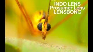 Lensbong Prosumer Indo Macro Lens World's best macro lens for Phone