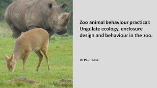 Zoo animal behaviour practical: Ecology, enclosure design and activity patterns