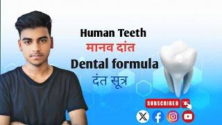 Dental Formula of Human Teeth in Hindi|| दांत सूत्र || biology