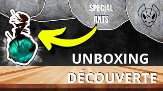 Je découvre la boutique de fourmis nommée : SPECIAL ANTS ( store )  UNBOXING