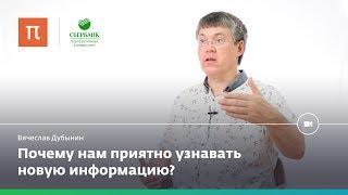 Мозг и любопытство — Вячеслав Дубынин