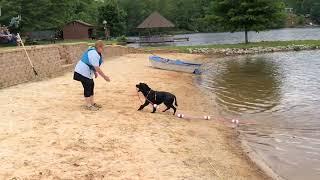 Apprentice - Retrieve Floating Line from Shore