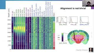 2024 3.4.2 The IBL brainwide map: electrophysiological atlas (Shi)