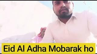 Sanjir Qatar || My all YouTube family ko EID al azha Mobarak ho