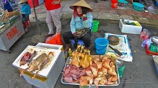 Шокирующий рынок во Вьетнаме. Это едят люди