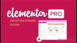 Elementor PRO WordPress Page Builder + Pro Templates autoupdate 2023