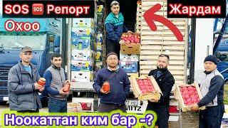 СРОЧНО ‼️ МОСКВА БААРЫ КОРСУН-20 тонна Келди КЫРГЫЗСТАНДАН#рекомендации