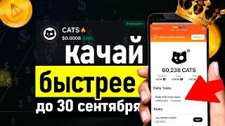 Cледующий после Hamster Kombat - CATS Как играть и как заработать airdrop - листинг в cats telegram