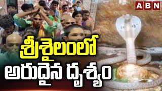 శ్రీశైలంలో అరుదైన దృశ్యం | Srisailam Temple | Shiva Lingam | ABN Telugu