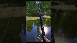 Catching crucian on a float rod. Fishing in the lakeRF4 short #shorts #fishing #gaming