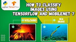 Transfer Learning for Image Classification using Tensorflow | Multi Class Classification Models