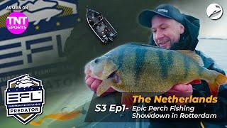  European Fishing League 2024 - EFL S3 Ep1: Epic Perch Fishing Showdown in Rotterdam! | Outlaw Pro