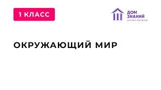 1 класс. Окружающий мир. Аюбова А.А. Тема: "Зачем нужны поезда?"