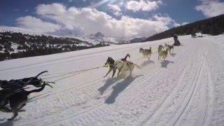 Grandvalira Mushing by GoPro - Activities Andorra 2016