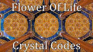 Flower of life Crystal Codes - Sacred Geometry