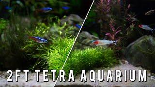 2FT TETRA Aquarium! 70L No CO2 Planted Tank Low Tech