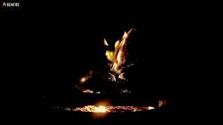 Night Campfire in the Dark Background Video 12 Hours Crackling Fire Sounds & Black Screen for Sleep