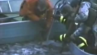 Rescue 911-Icy River