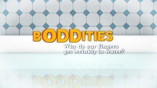 Boddities | Episode 7 | Why do our fingers get wrinkly in water?