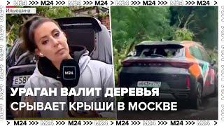 Ураган в Москве валил деревья, срывал крыши - Москва 24