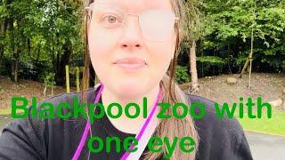 Blackpool zoo with one eye and options I use to cover the eye.