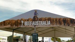 Droughtmaster at Beef Australia 2021