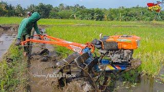 Joki Bocil Garap Lahan Gunakan Traktor Quick Gardan Baru