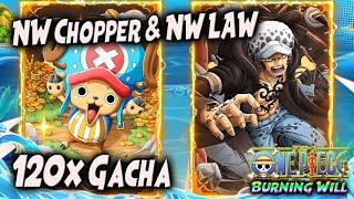 120x GACHA NW. LAW & NW. CHOPPER yang MEMBAGONGKAN "2 2 nya GG"  ONE PIECE BURNING WILL