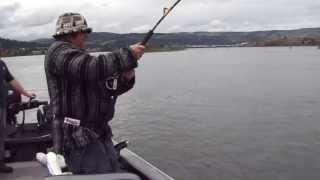 Captain Catfish vs. Columbia River White Sturgeon